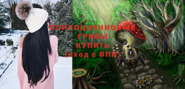 шишки Бугульма