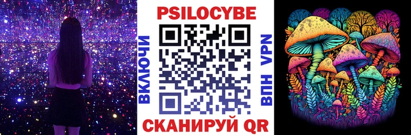 закладка  Топки  Псилоцибиновые грибы Magic Shrooms 